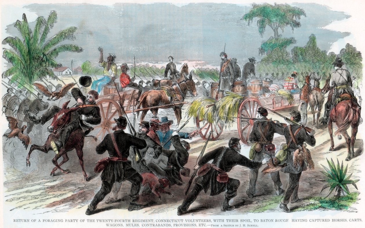 觅食党返回美国内战，路易斯安那，巴吞鲁日，c1862 作者 不明