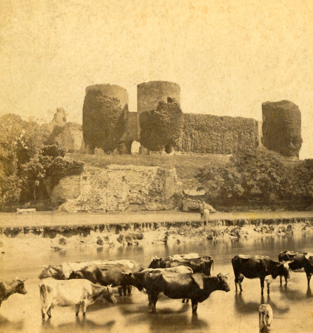 罗德兰（Rhuddlan）-河上的城堡，约建于1900年。 作者 不明
