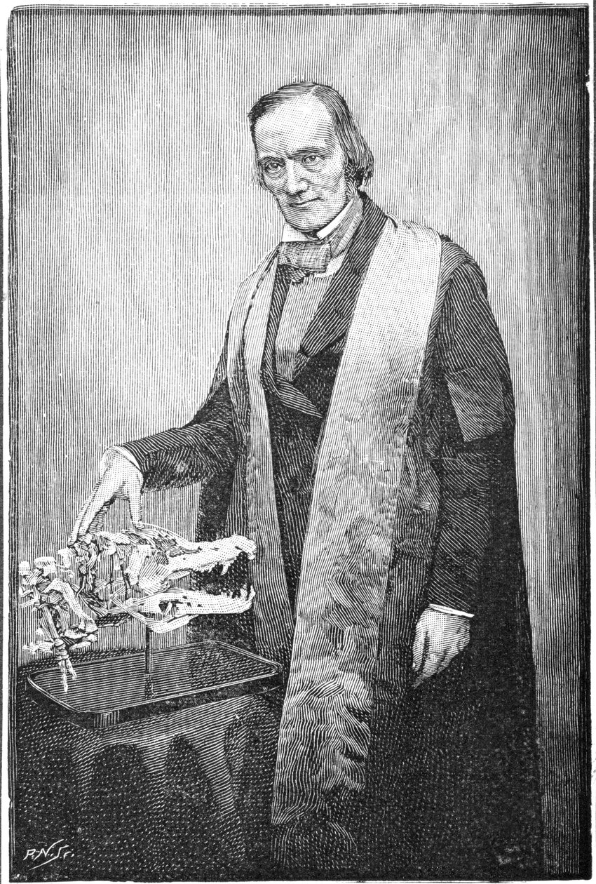 英国博物学家理查德·欧文（Richard Owen），c1856年-1891年 作者 不明