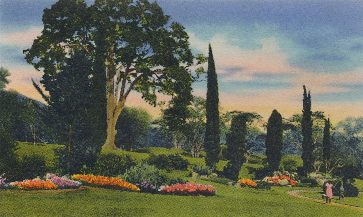 B19特立尼达，岩石花园，c1940年代。 作者 不明