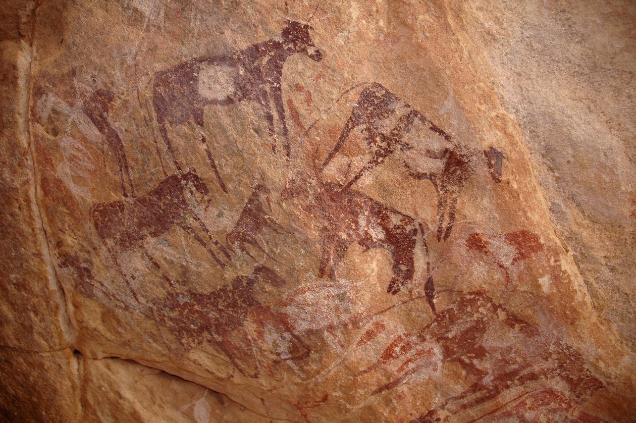 Rock art, Prehistory: Painting of a group of cattle and characters in an ornate shelter, in the Uweinat massif, Sudan (Karkur-Talh or Karkur Talh). Period from 8000 to 3000 years BC. Photography 作者 不明