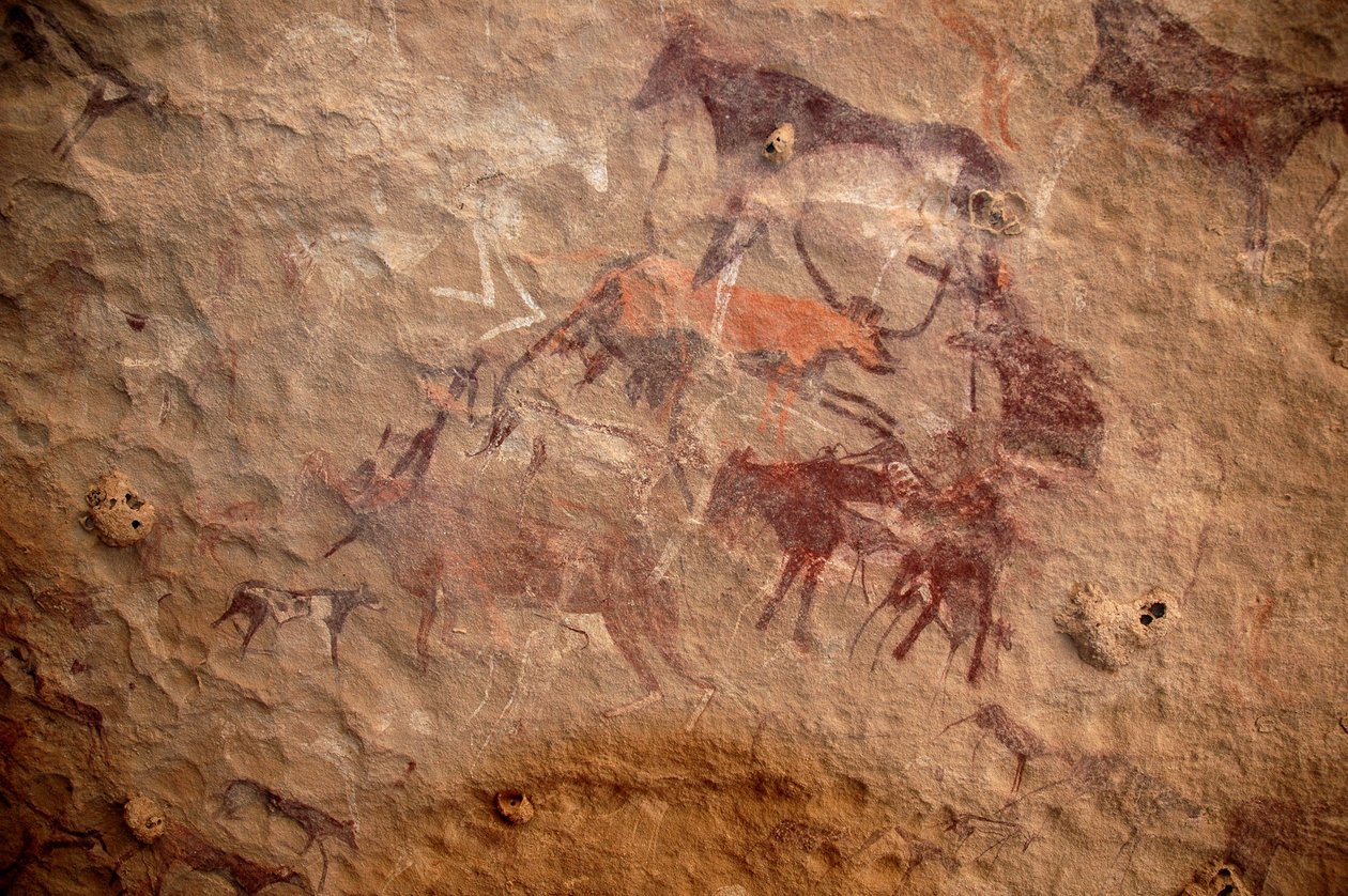 Rock art, Prehistory: Rock painting of a group of cattle and polychrome characters (shepherds and archers) in an ornate shelter, in the Uweinat massif, Sudan. Period from 8000 to 3000 years BC. Photography 作者 不明