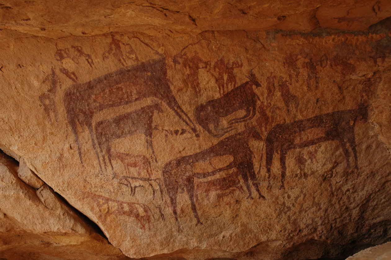 Rock art, Prehistory: Rock painting of a group of cattle including a knees and a group of characters including archers in an ornate shelter, in the Uweinat massif, Sudan (Karkur-Talh or Karkur Talh). Period from 8000 to 3000 years BC. Photography 作者 不明