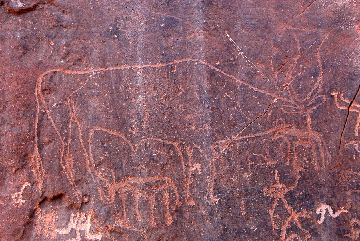 Rock paintings at Inchalt, GHAT, LIBYE 作者 不明