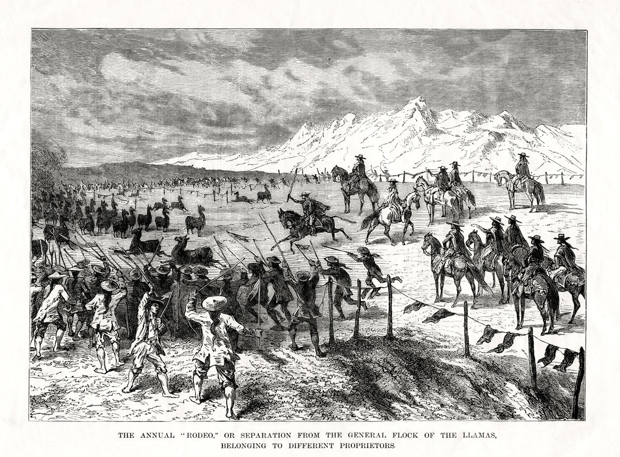 1877年，南美罗迪欧 作者 不明