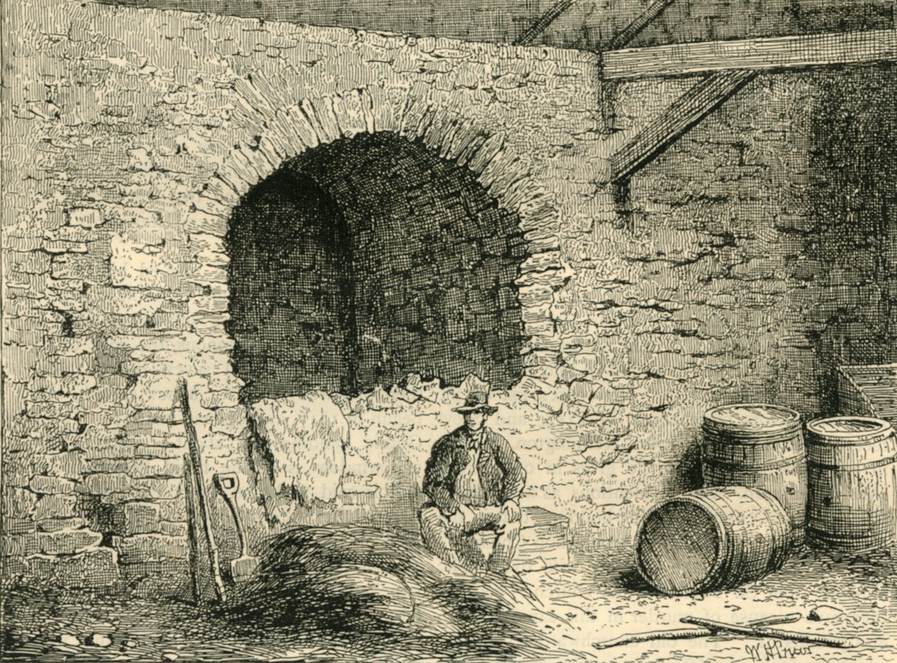 塔山上的罗马墙，c1872年。 作者 不明