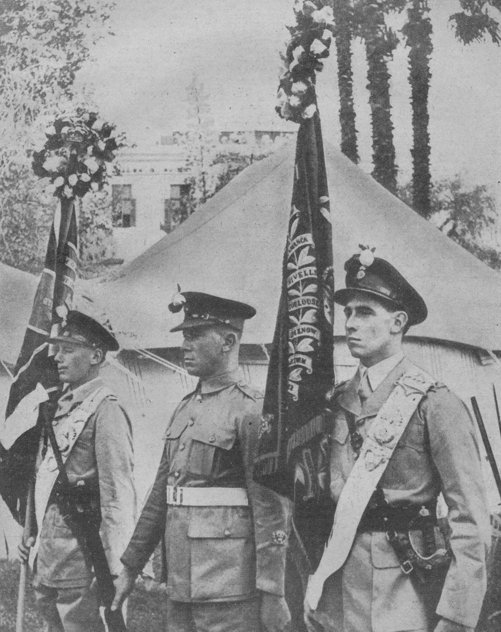 1942年的《老与大胆的玫瑰》。 作者 不明