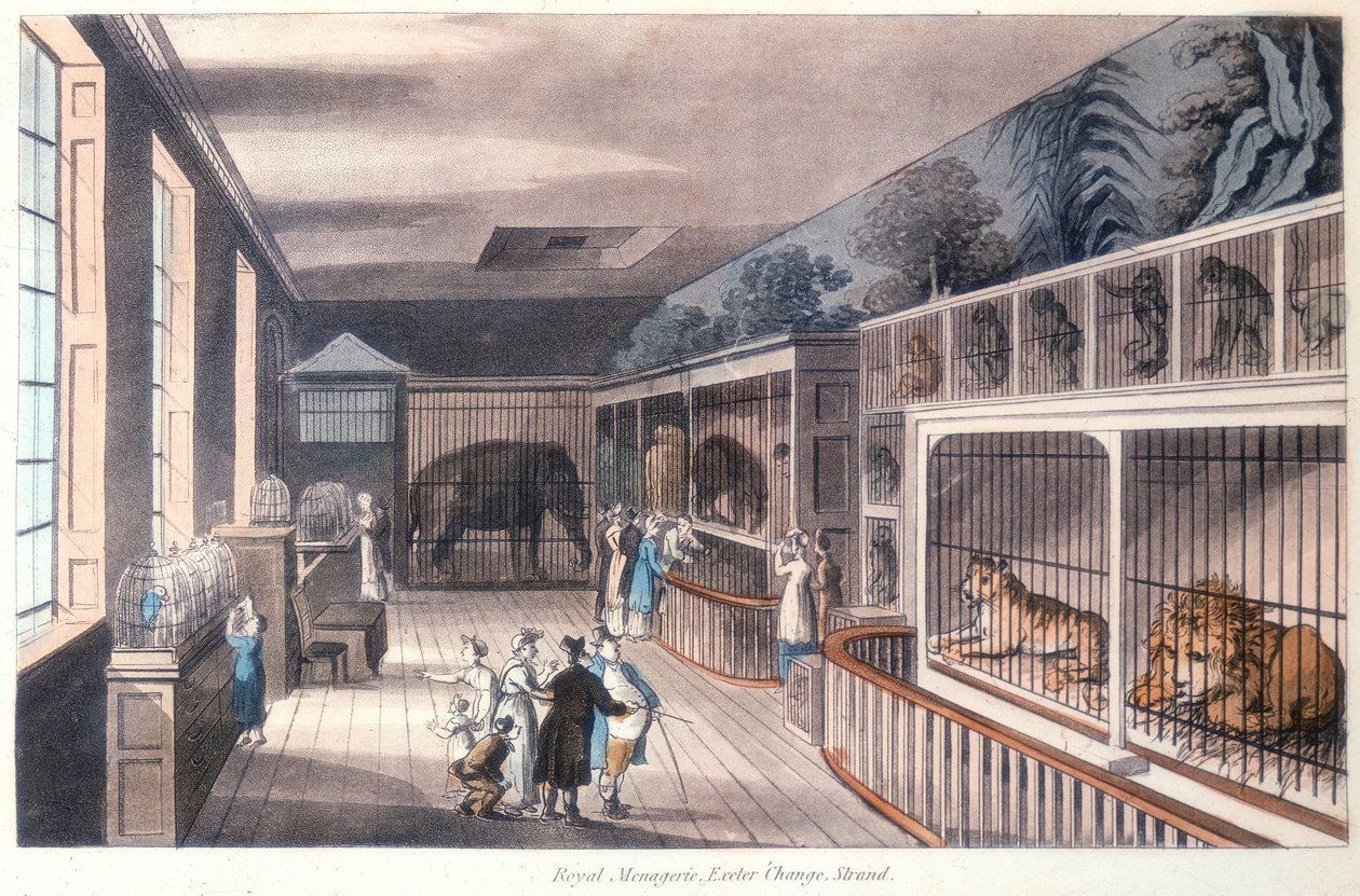 皇家动物园，埃克塞特变更，斯特兰德，伦敦，c1820 作者 不明