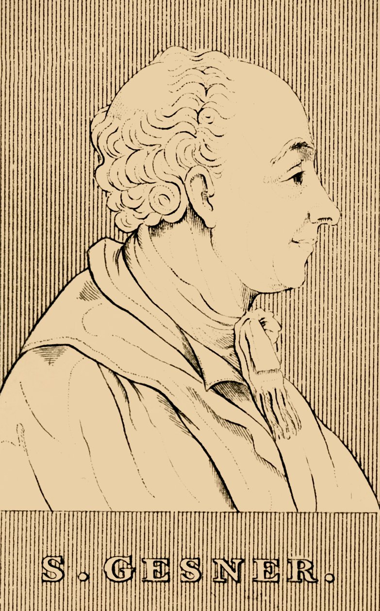 S.Gesner，1730-1788，1830。 作者 不明