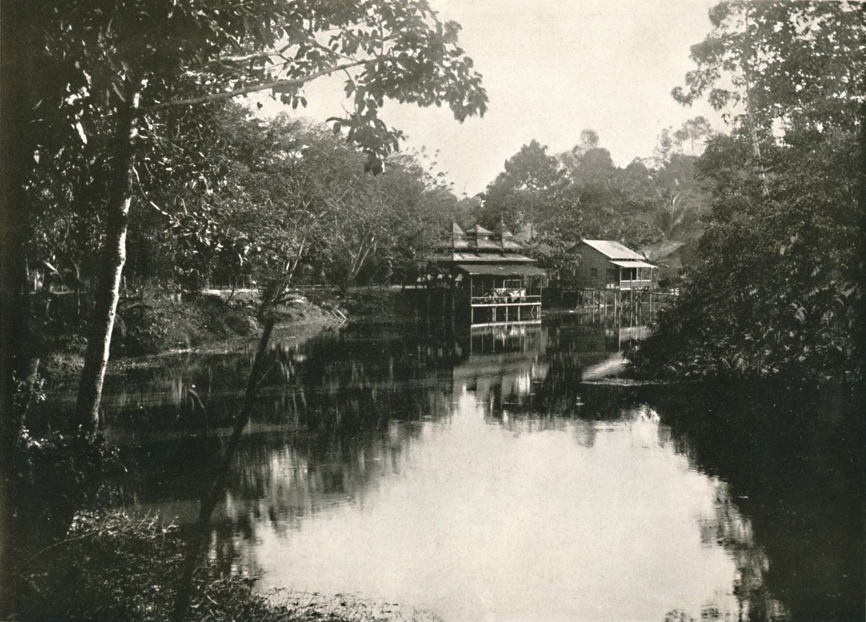 仰光永巴（Wingaba）的圣马蹄湖和扎亚特人（Sacred Horse Shoe Lake and Zayats），仰光，1900年。 作者 不明