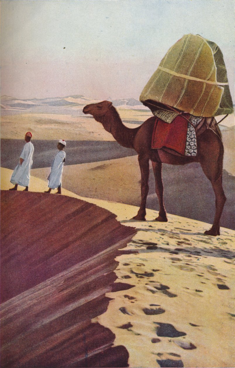 撒哈拉沙漠，c1930年代 作者 不明