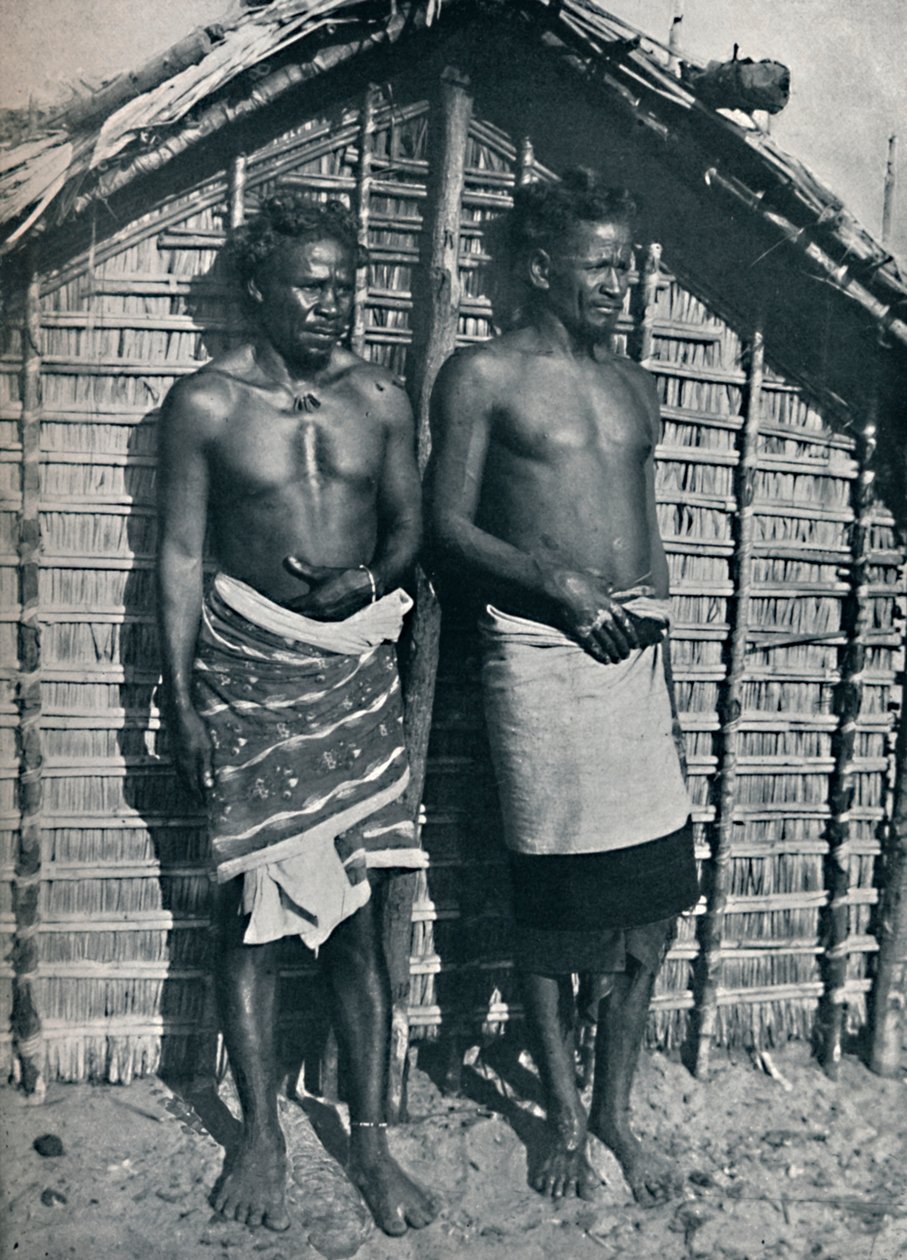 来自马达加斯加梅纳贝的Sakalava类型，1912年 作者 不明