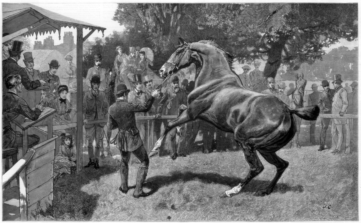 猎人募集和反对出售，1885年 作者 不明