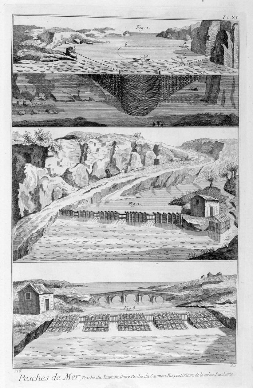 鲑鱼捕捞，1751-1777年 作者 不明
