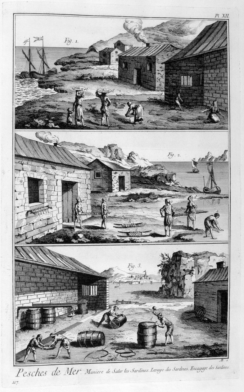 盐腌，洗涤，包装沙丁鱼，1751-1777年 作者 不明