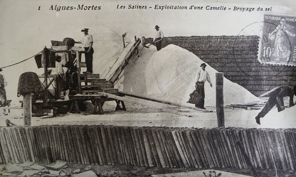 Saltworks, Camargue, Aigues-Mortes, Provenece, France (b/w photo) 作者 不明