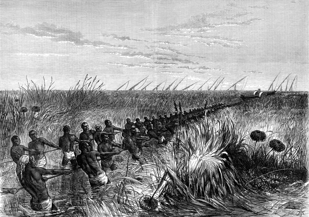 塞缪尔·贝克斯（Samuel Bakers）的船拖过河草，1864年-1874年 作者 不明