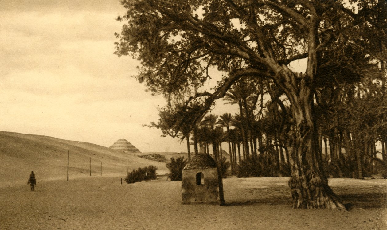 塞加拉（Saqqara）-从西科莫（Sycomore）看的阶梯金字塔，c1918-c1939。 作者 不明