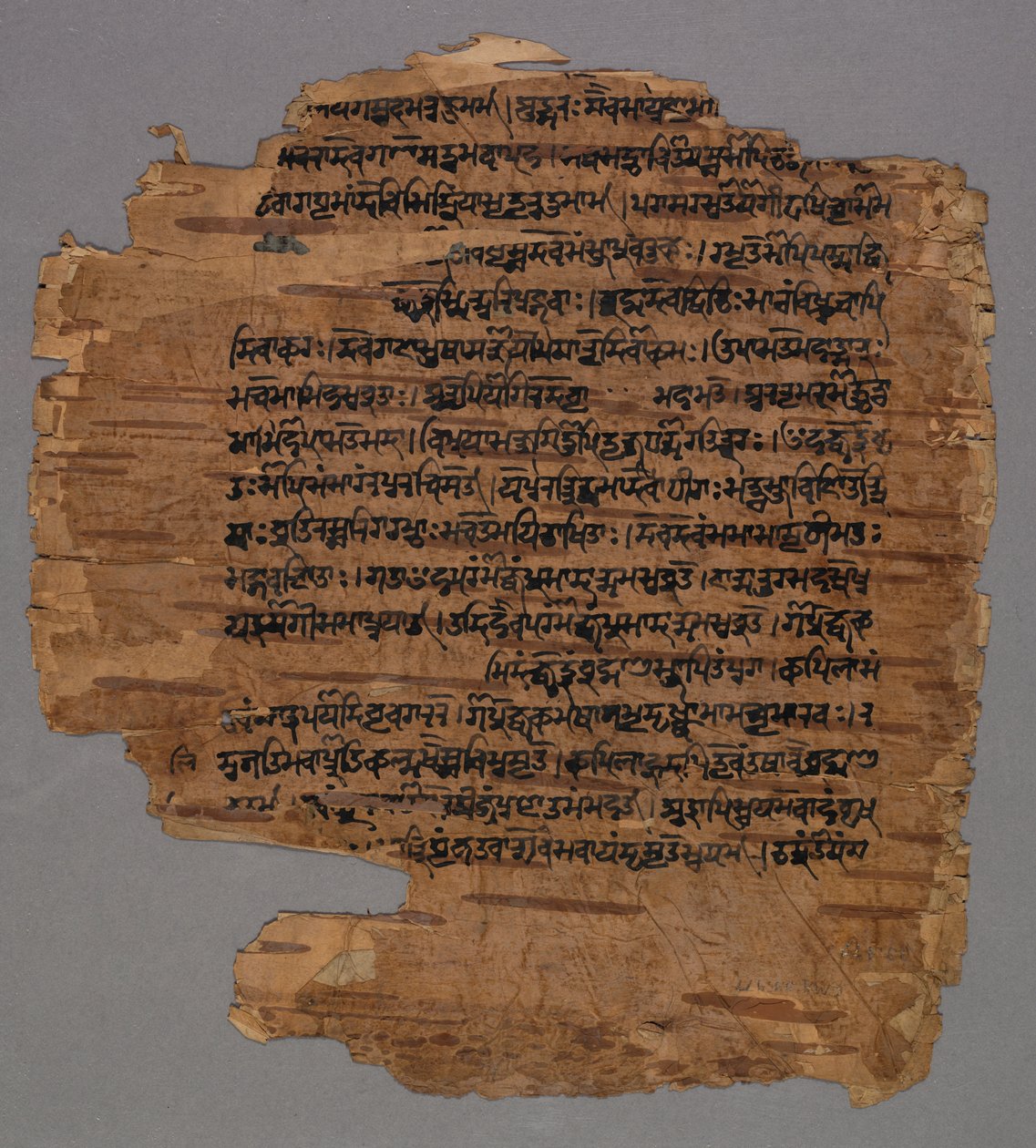 萨拉达（Sarada Script），1600年代。 作者 不明