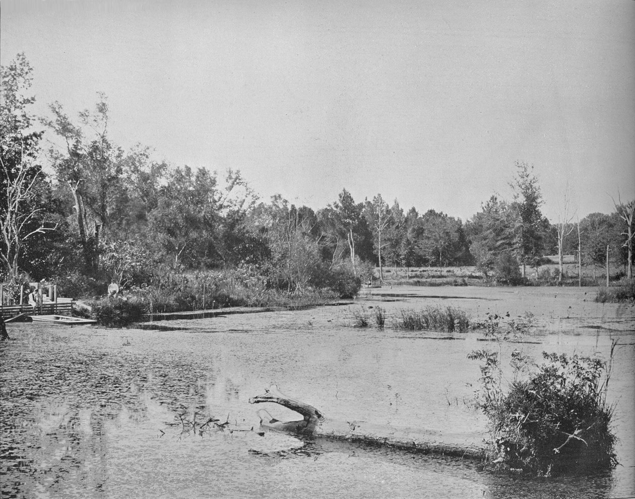 1897年，密西西比州的场景。 作者 不明