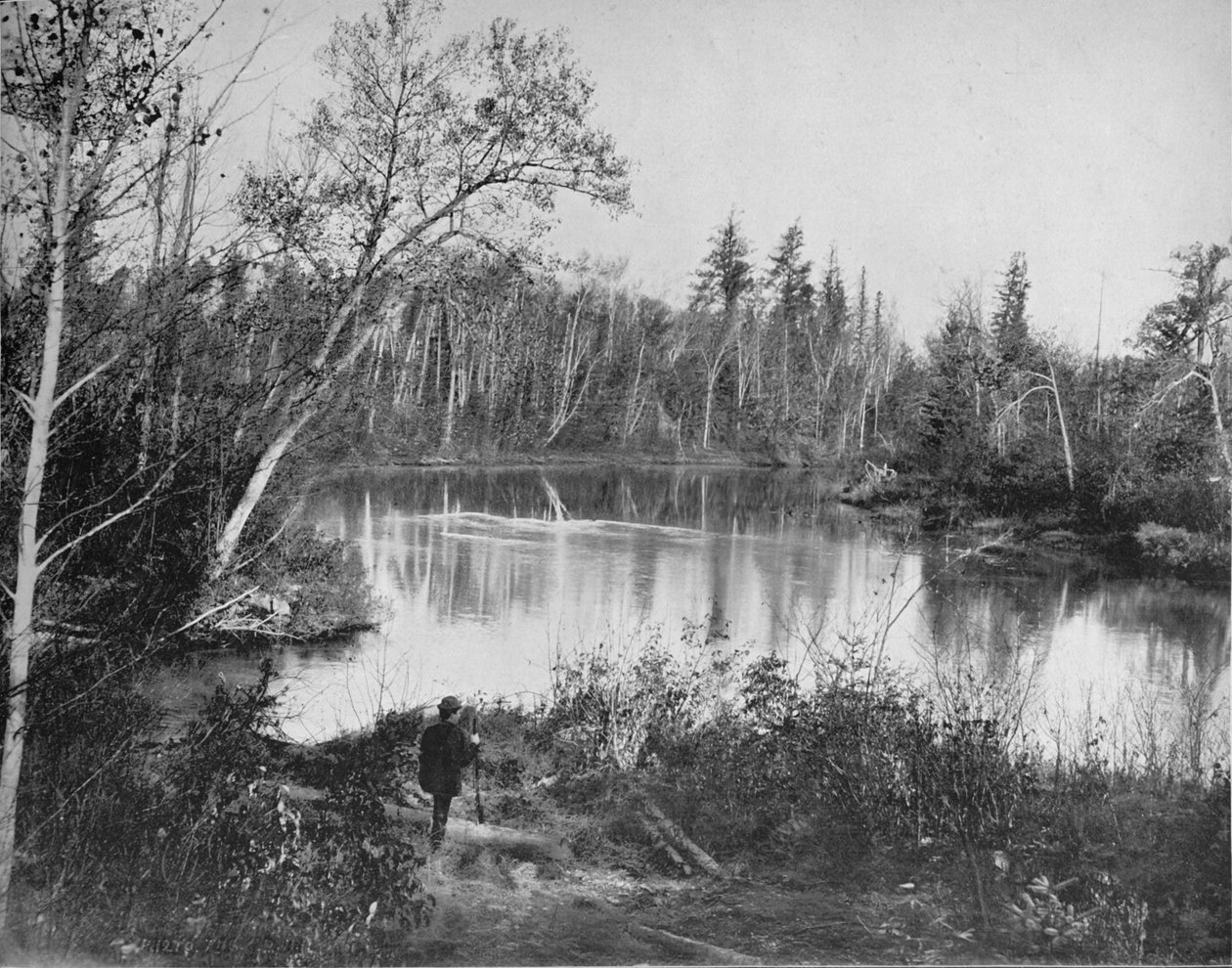 威斯康星州Peshtigo河上的场景，c1897。 作者 不明