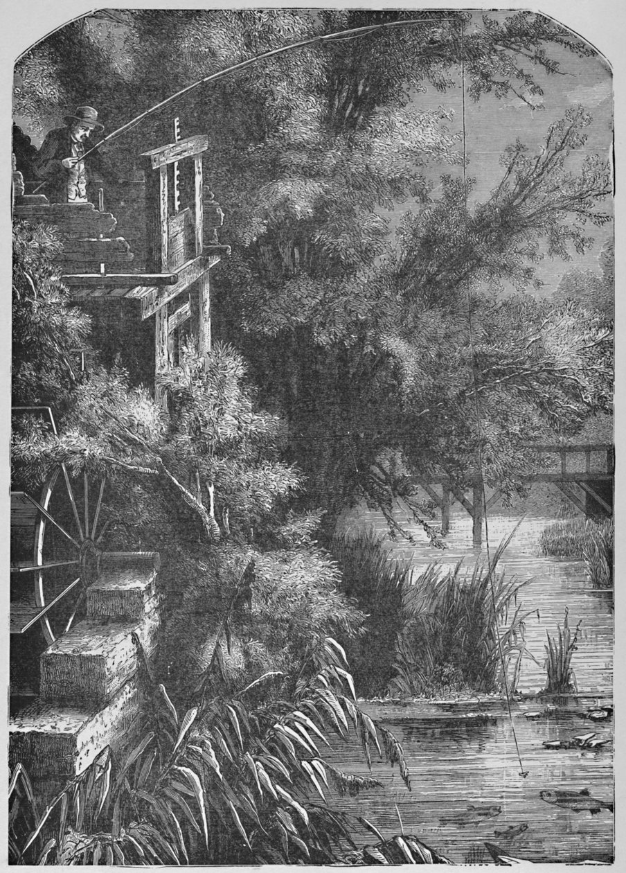 小河上的场景倒入小朱尼亚塔，1883年 作者 不明