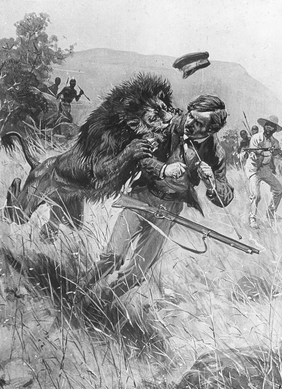 苏格兰传教士和探险家大卫·利文斯通（David Livingstone）于19世纪被非洲狮子袭击 作者 不明