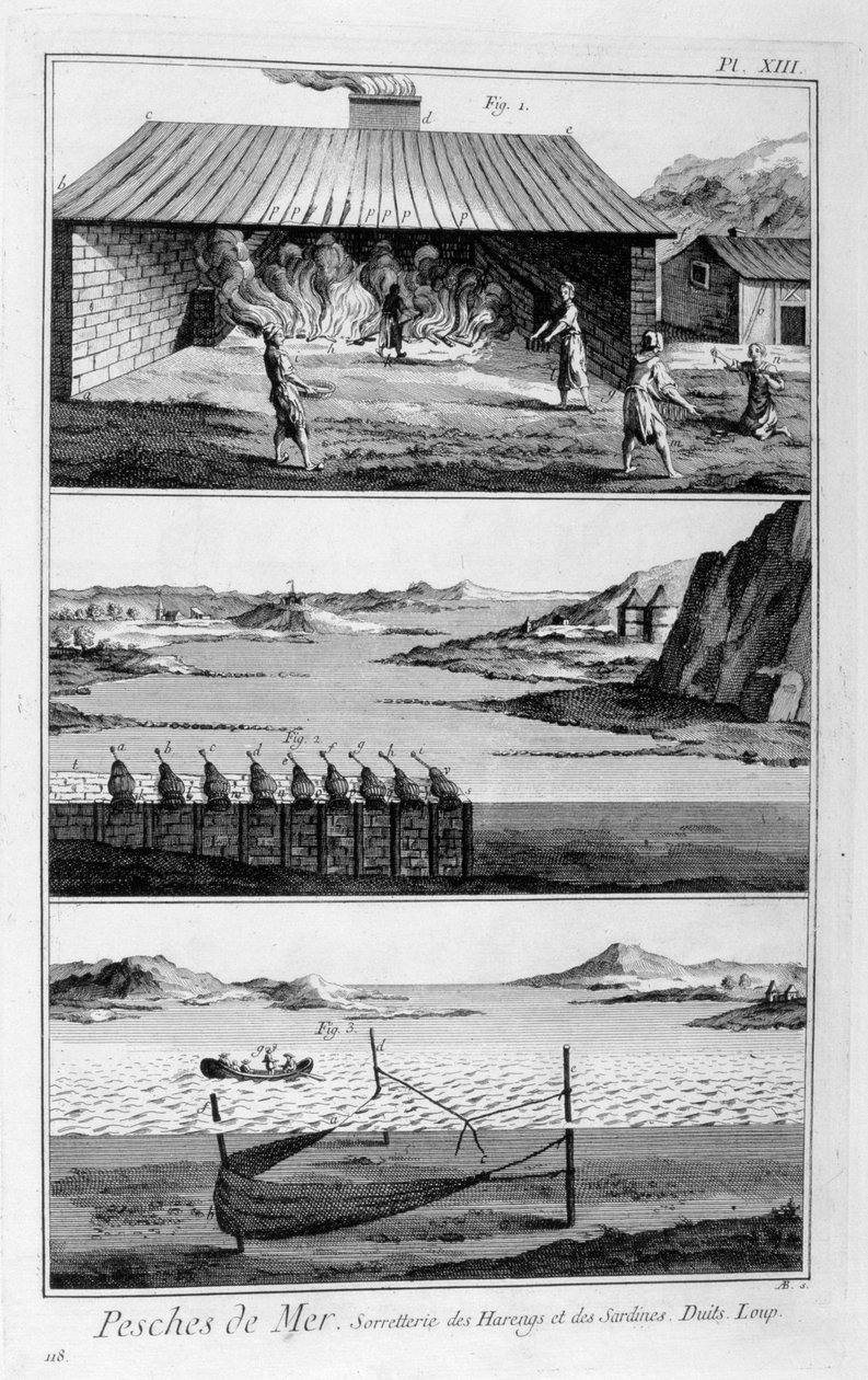 海钓，鲱鱼和沙丁鱼，1751-1777年 作者 不明