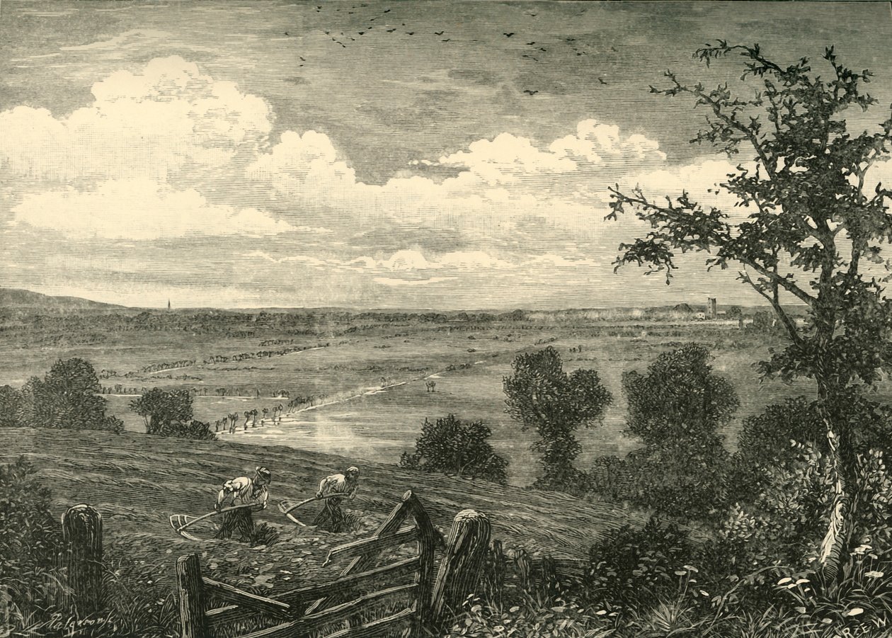 塞奇穆尔（Sedgemoor），来自米德尔佐伊（Middlezoy），1898年。 作者 不明