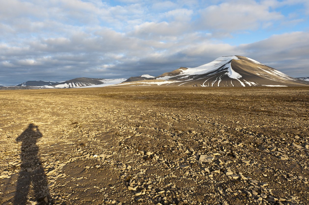 Plataberget 上的人类多边形结构土壤的阴影，后面白雪覆盖的 Nordenskjoeldfjellet 峰，靠近朗伊尔城，斯匹次卑尔根，斯瓦尔巴群岛，挪威，欧洲 作者 不明
