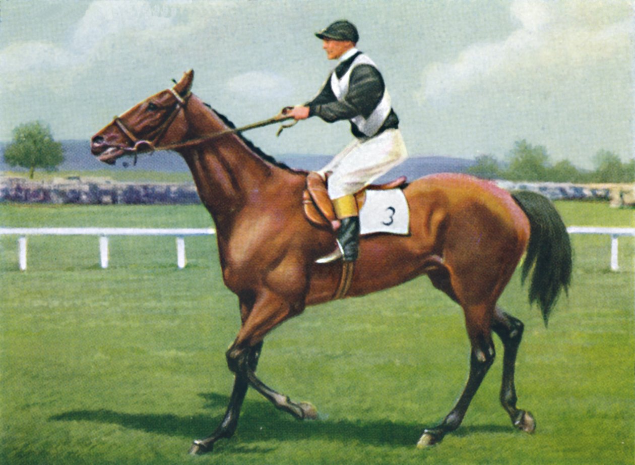 骑师Shalfleet：R。Perryman，1939年 作者 不明