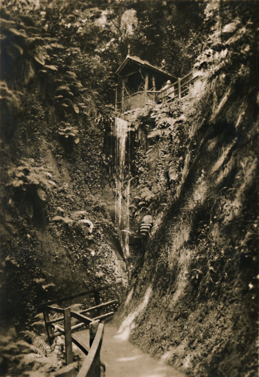 尚克林·Chine（IW），c1920。 作者 不明