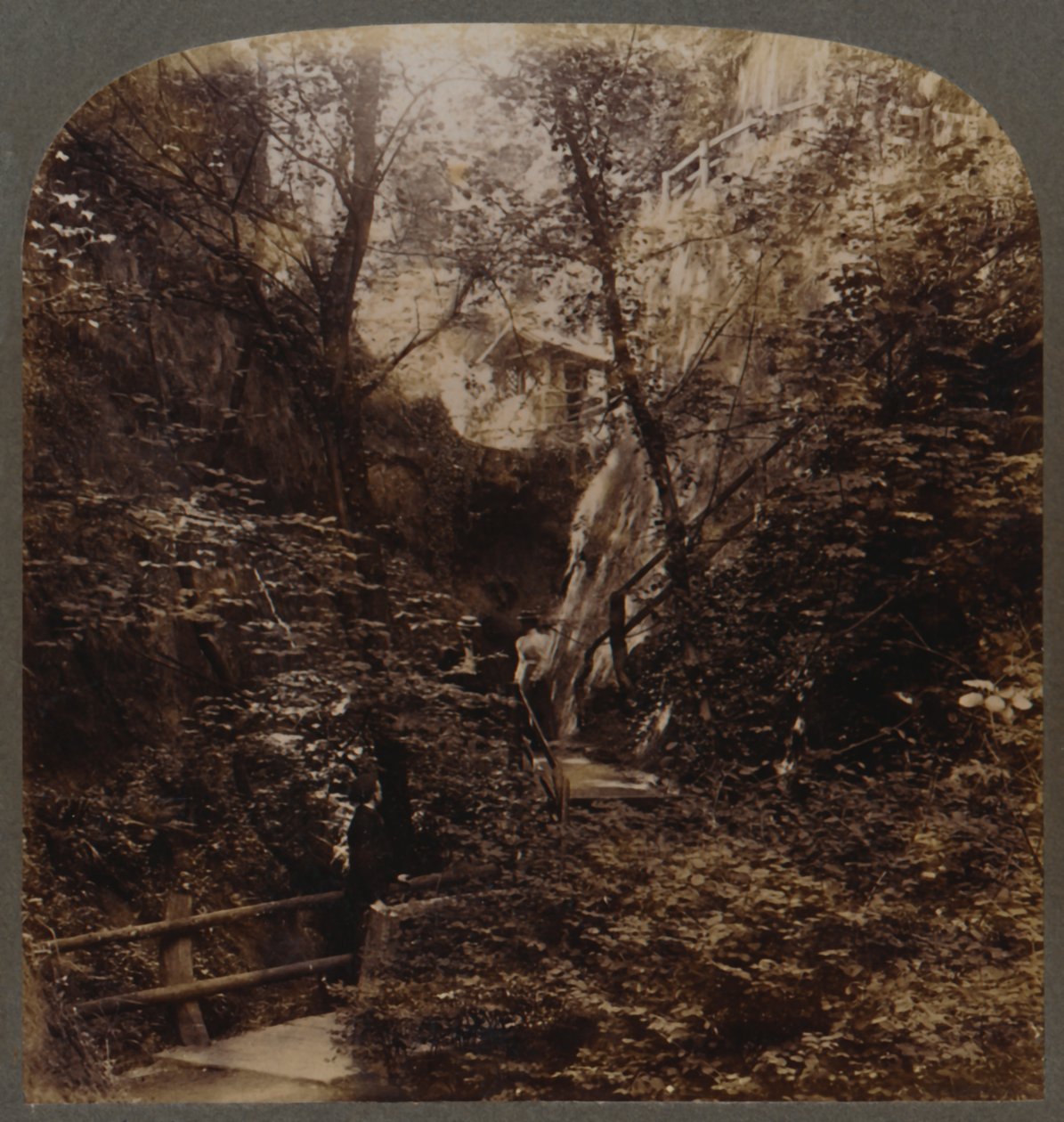 享誉全球的Shanklin Chine，英格兰怀特岛，约1910年。 作者 不明