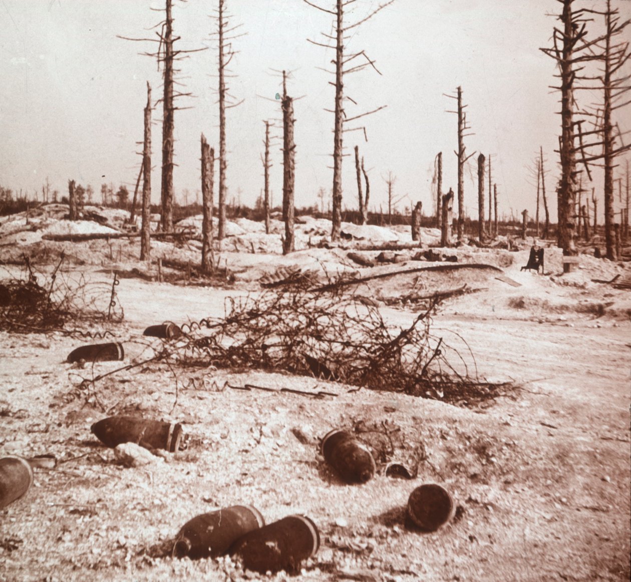 贝壳，法国北部凡尔登，c1914-c1918 作者 不明