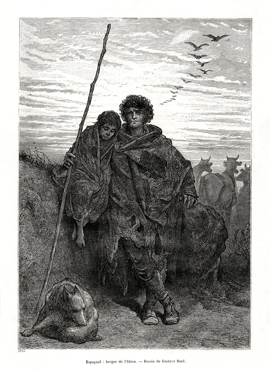 西班牙阿拉瓦牧羊人，1886年 作者 不明
