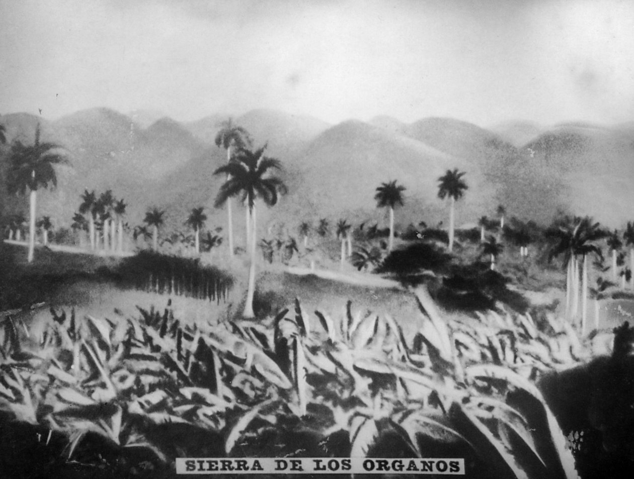 塞拉·德·洛斯·奥格诺斯山脉，1896，1920年代 作者 不明