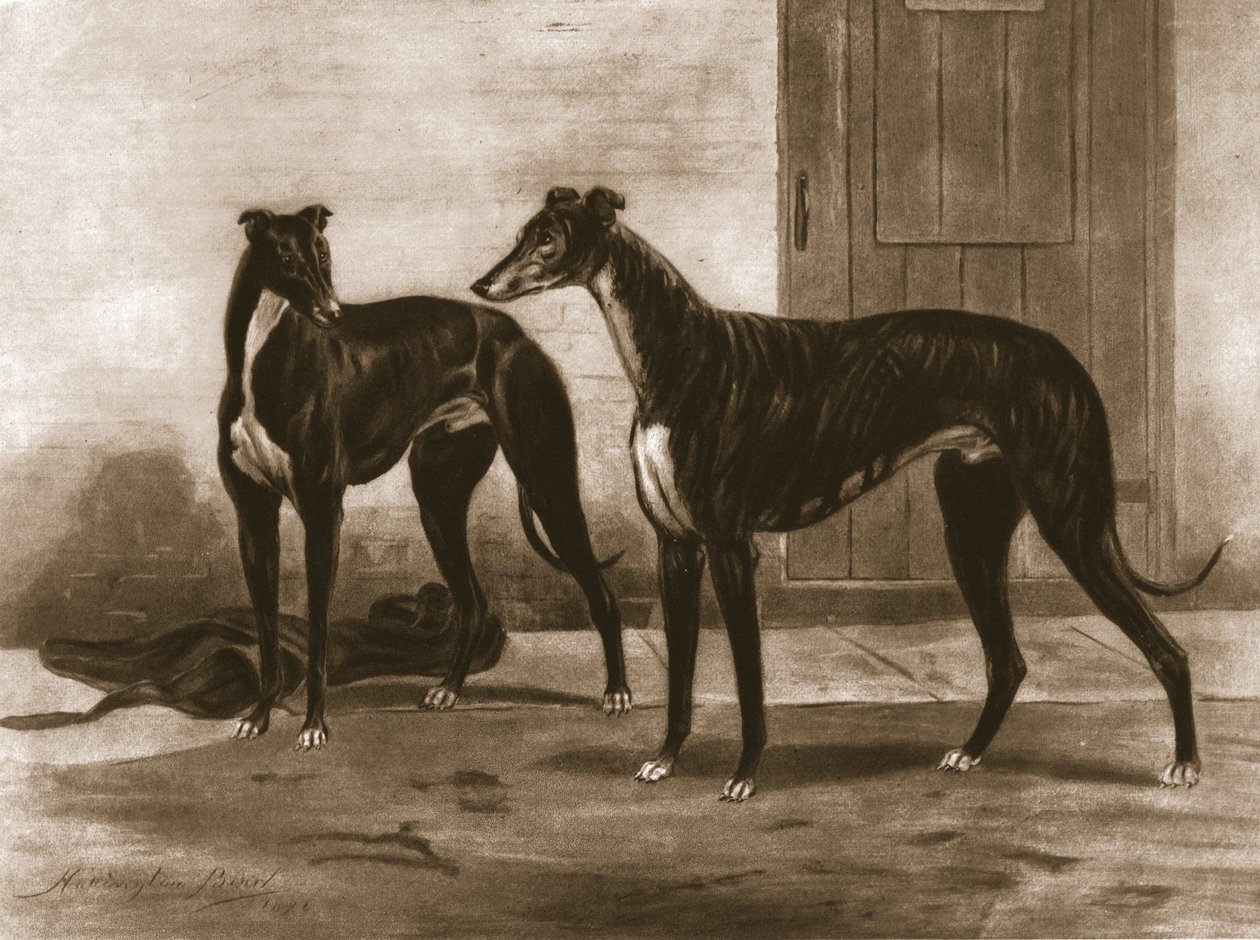 西蒙尼安（Simoniian）和富乐顿（Fullerton），c1891，1911年。 作者 不明