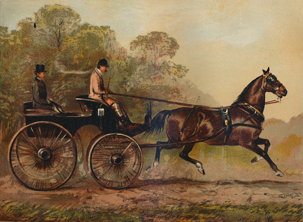单一线束辉腾马哥伦拜恩。 Charles Baynes Esq。，1872，c1879的财产 作者 不明