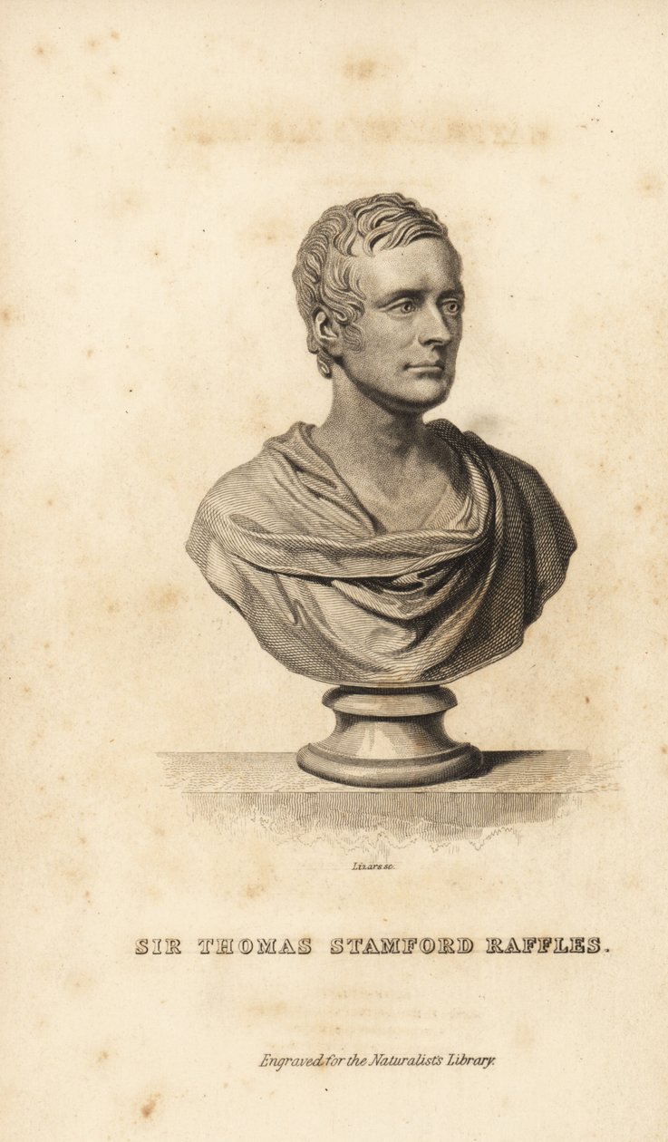 Sir Thomas Stanford Raffles, British statesman, writer and naturalist 作者 不明