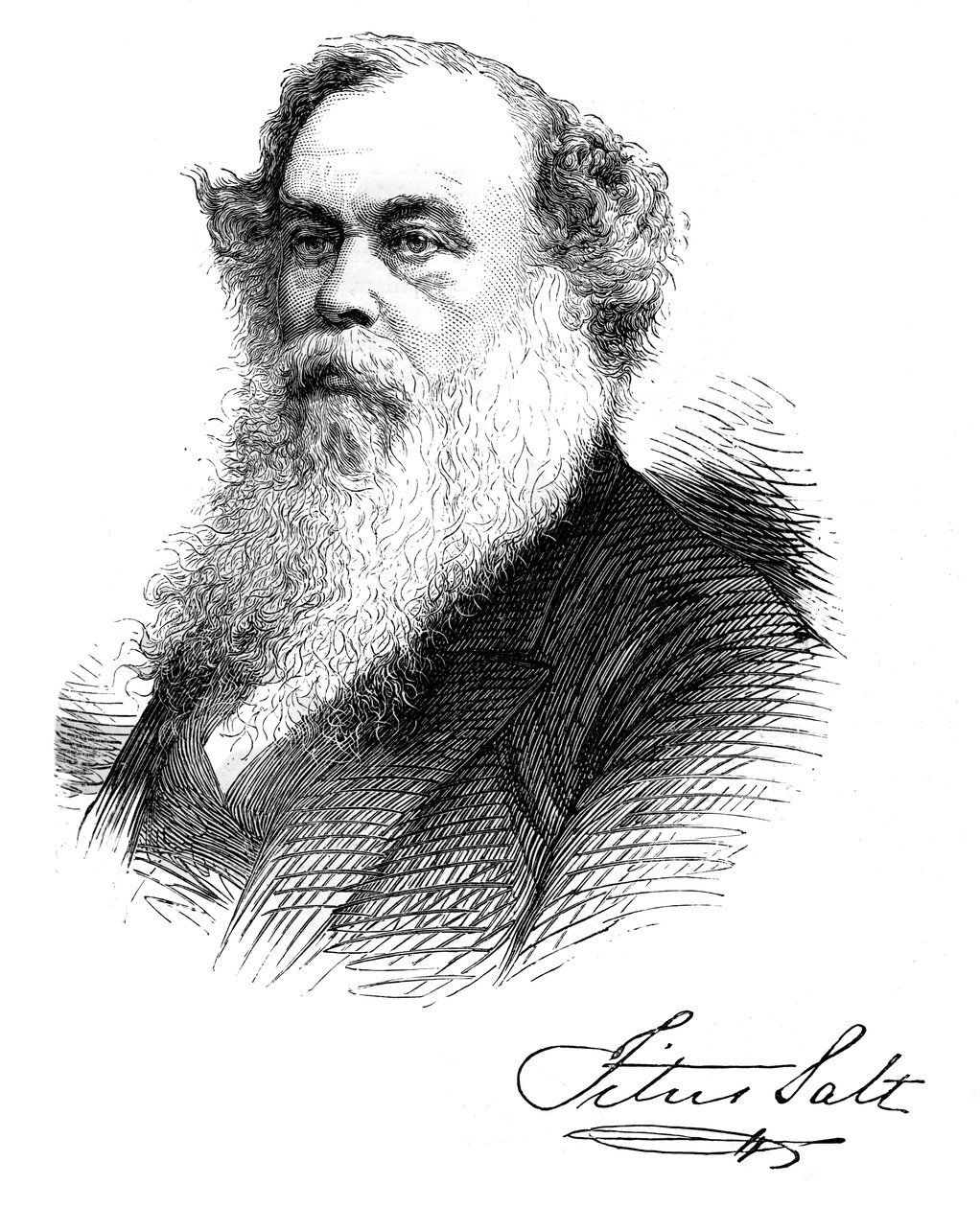 英国制造商兼恩人泰特斯·萨特爵士（Sir Titus Salt），c1880 作者 不明