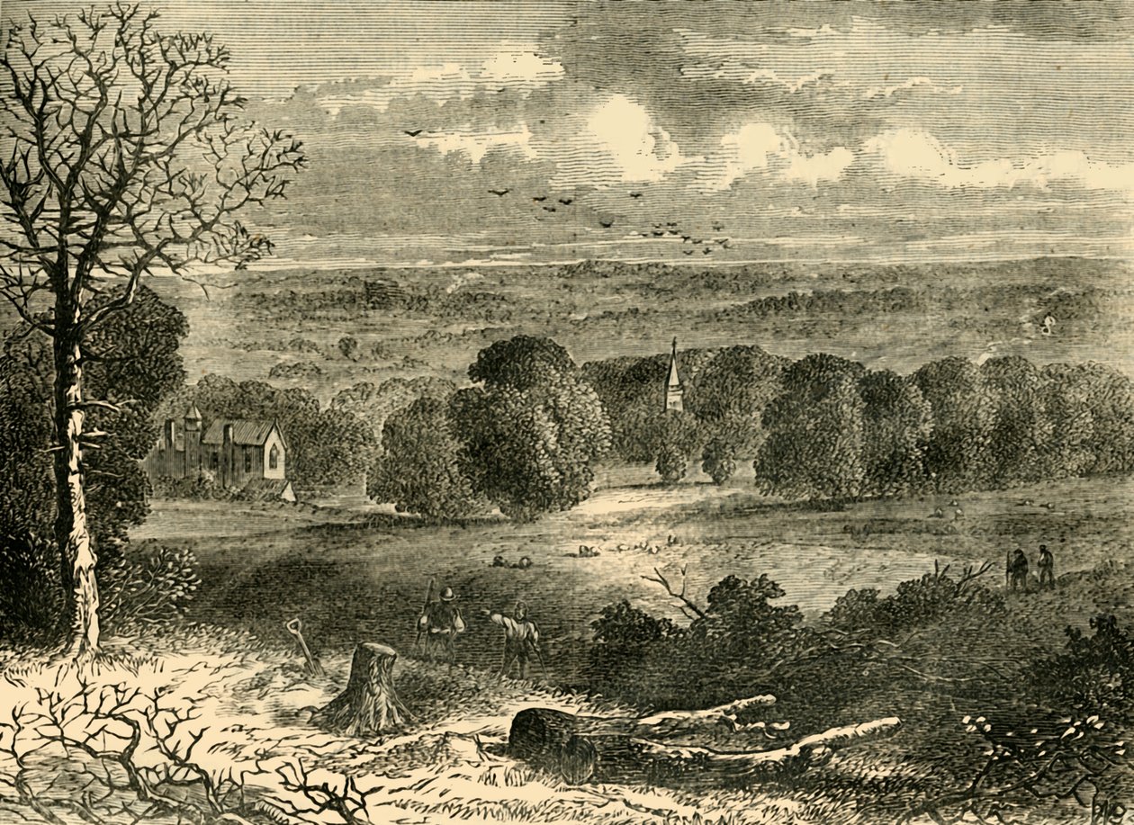 1852年，水晶宫的遗址，建于1878年。 作者 不明