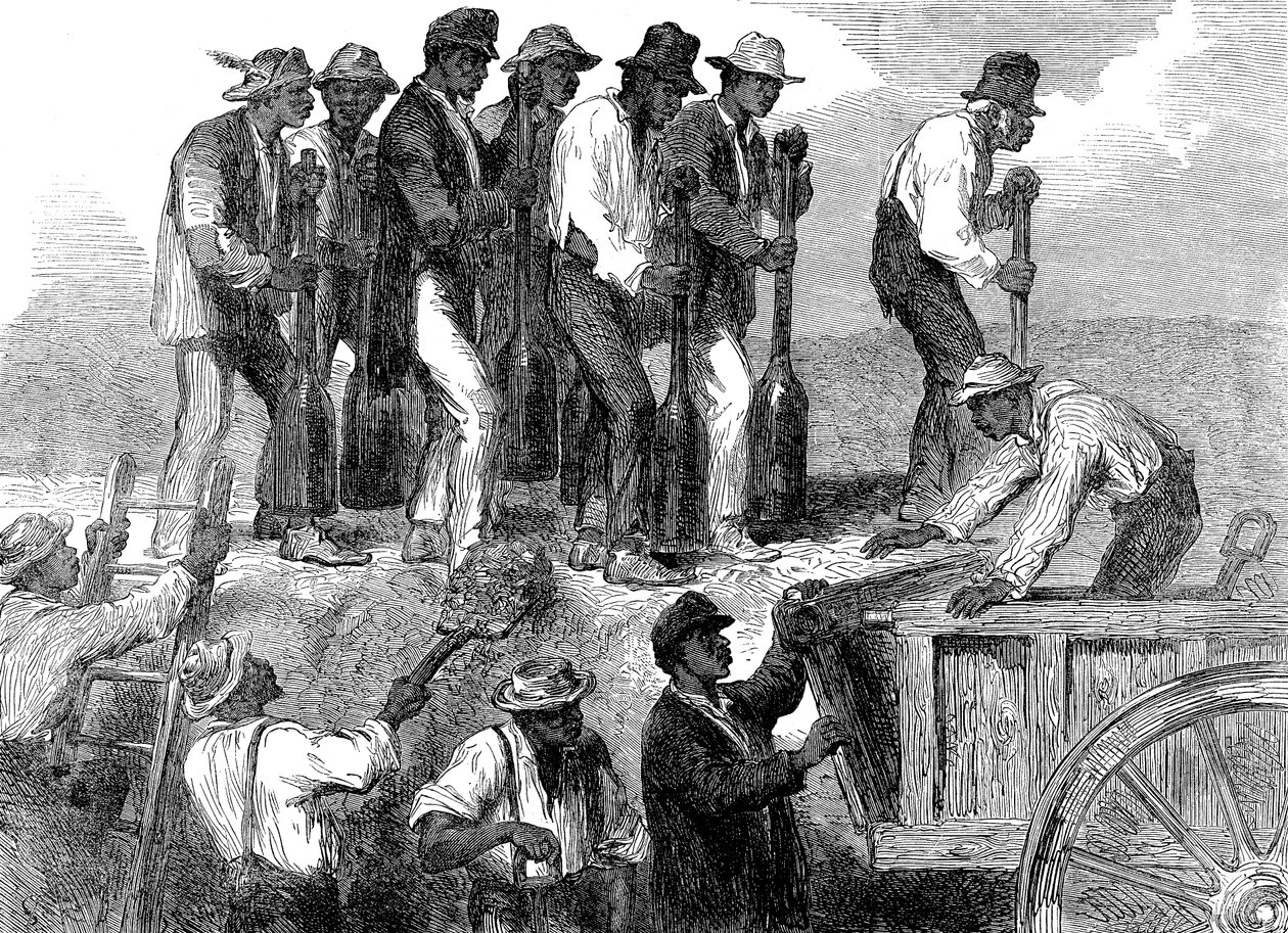 1863年美国内战期间，奴隶劳工在佐治亚州萨凡纳加强防御工事 作者 不明