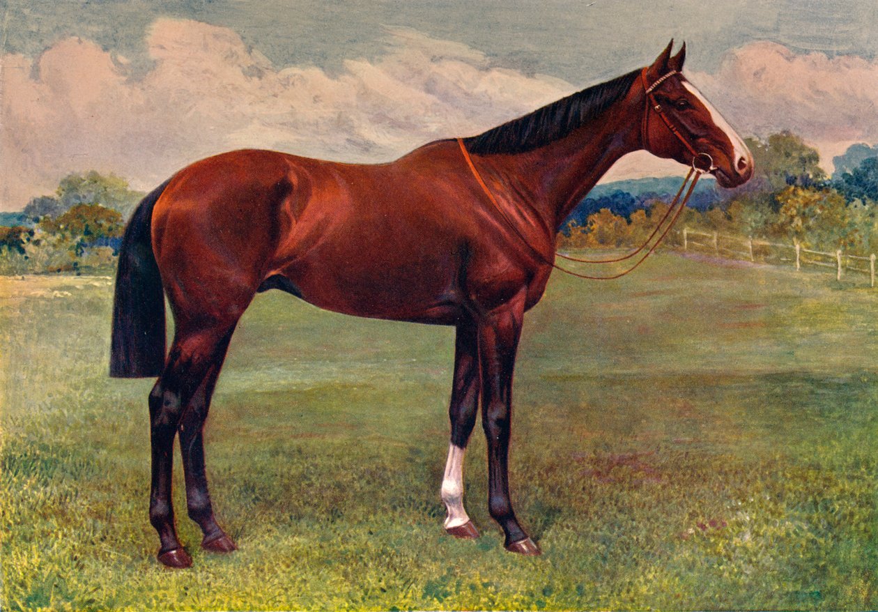 留兰香，c1905 c1910 作者 不明