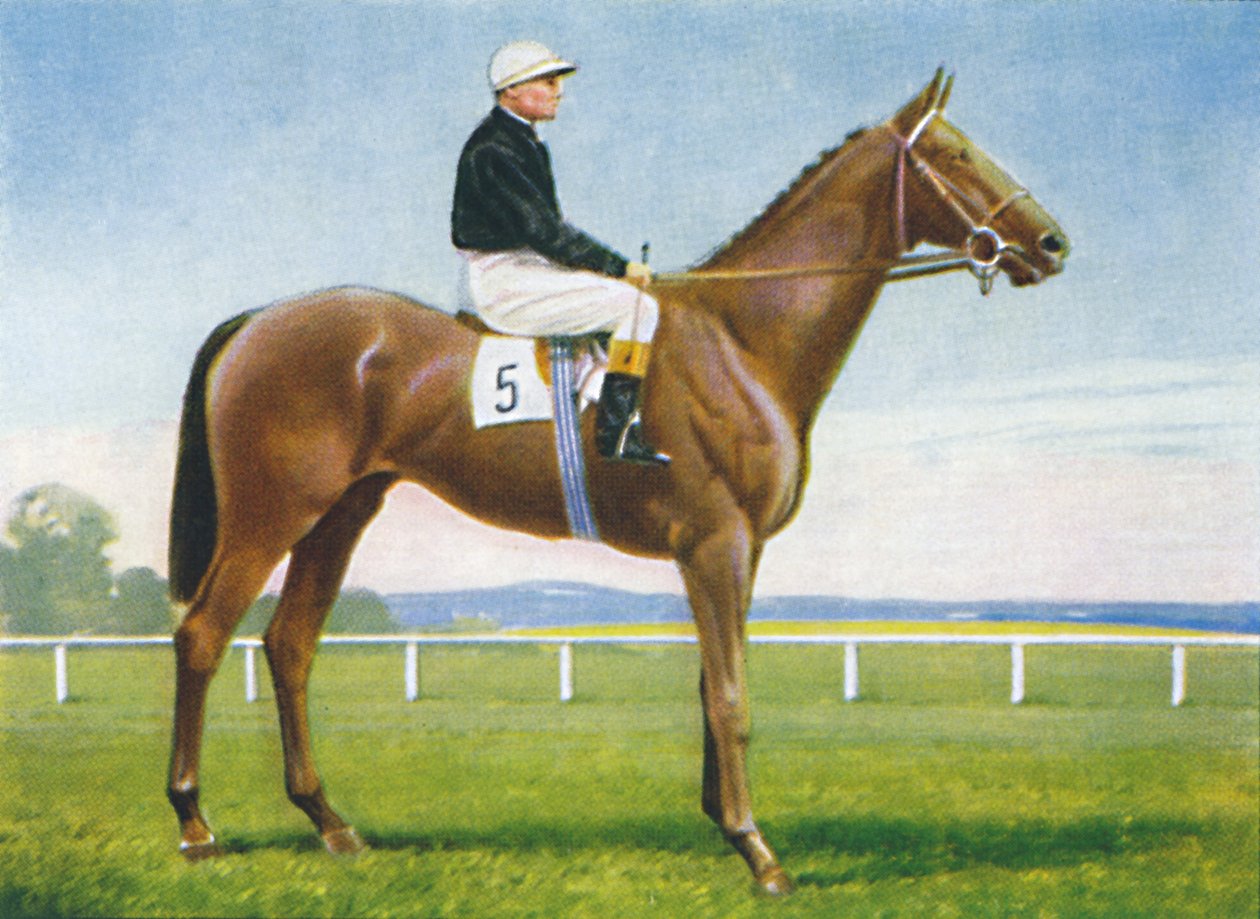 骑师圣马格努斯（St.Magnus）：R。Perryman，1939年 作者 不明