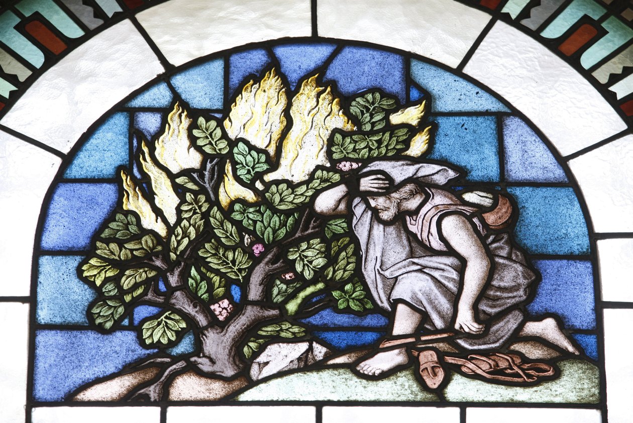 Stained glass : Moses and the fire, Budapest, Hongrie 作者 不明