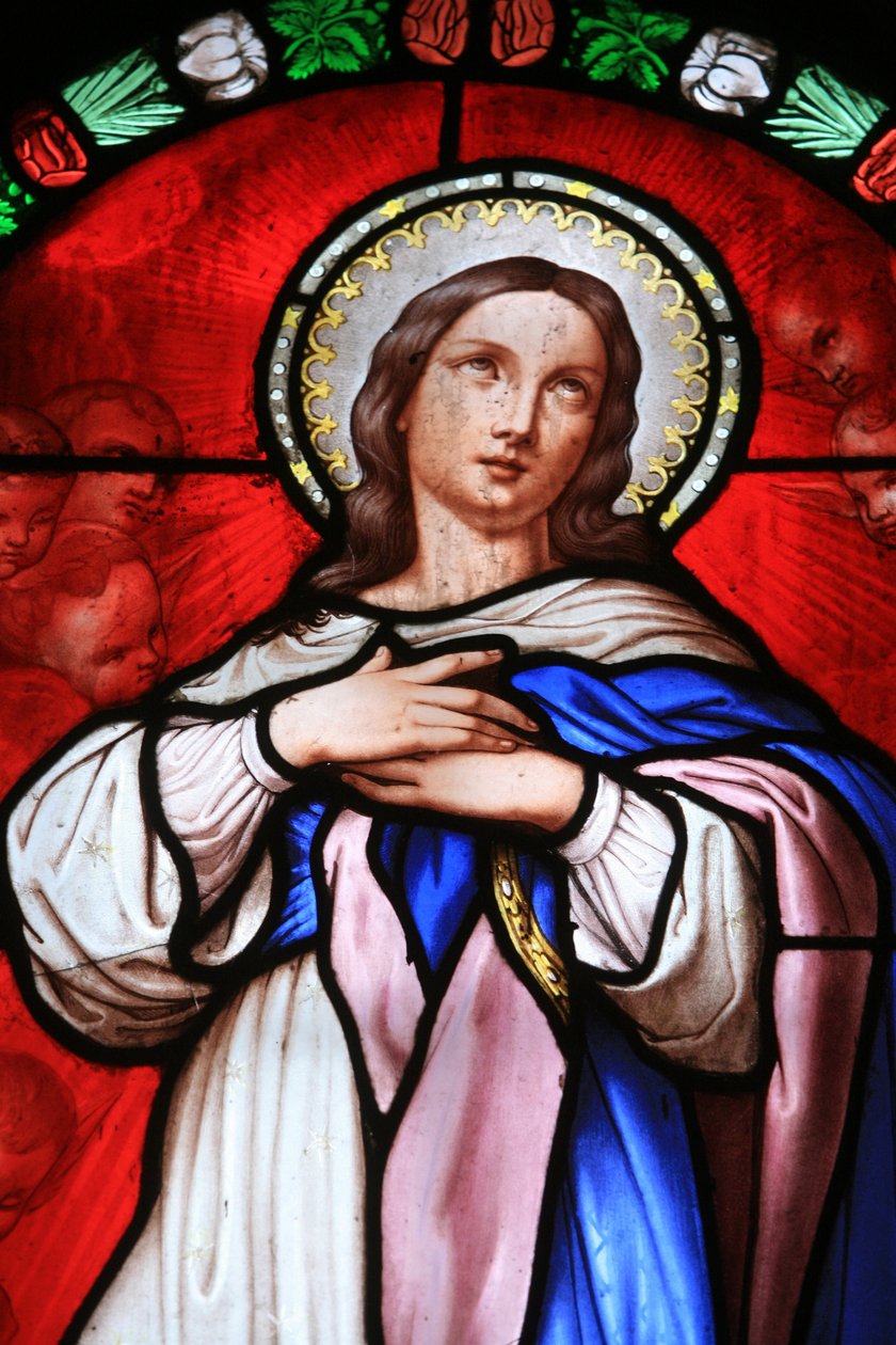 Stained glass window : Virgin Mary Beaune France 作者 不明