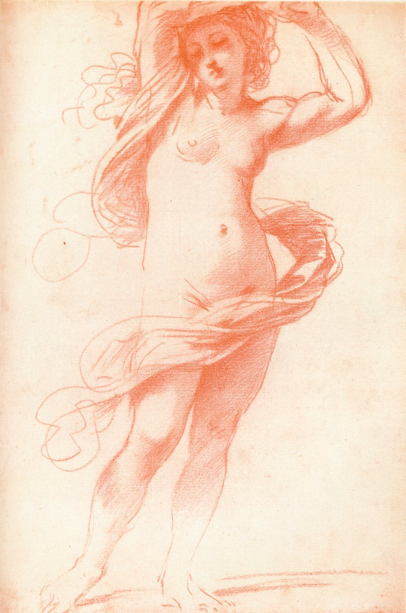 站立的女性裸体，十七世纪，1925年 作者 不明