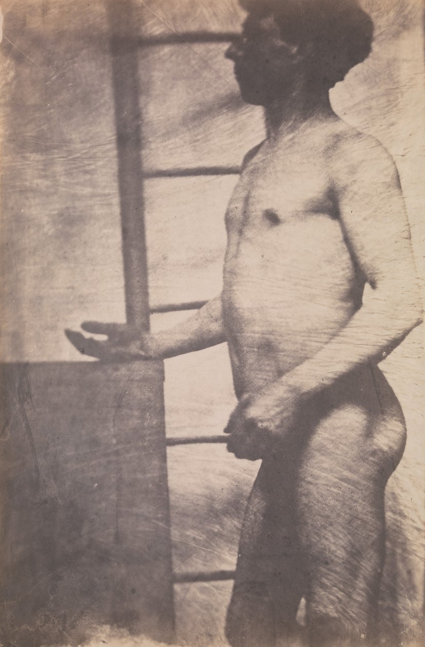 [站立的男性裸体]，约1856年。 作者 不明