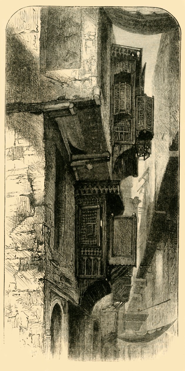 1881年在开罗街。 作者 不明