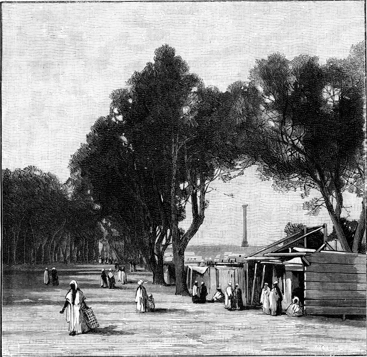 庞贝斯支柱在远处，埃及亚历山大，1900年的街景 作者 不明